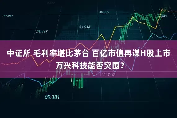 中证所 毛利率堪比茅台 百亿市值再谋H股上市 万兴科技能否突围？
